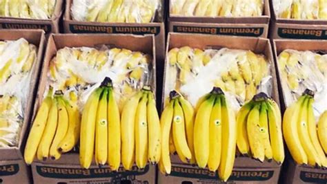 El Banano Ecuatoriano Expande Su Presencia En Catar Infomercado Ecuador