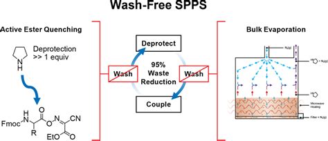 A Wash Free Spps Process One Pot Coupling Deprotection Methodology Download Scientific Diagram