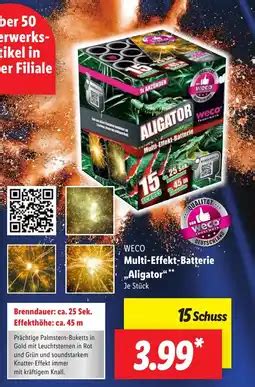 Weco XXL multi effekt fächer batterie superfly aanbieding bij Lidl