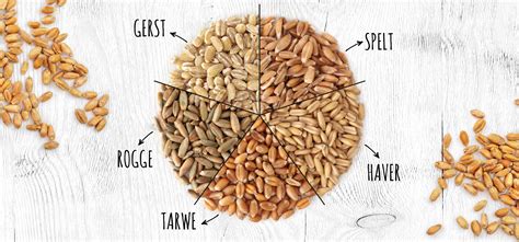Wat Is Het Verschil Tussen Rogge Spelt Haver Gerst En Tarwe De