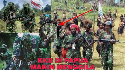 Aksi Pergerakan KKB Di Papua Seakan Tak Terbendung Oleh TNI Dan Polri