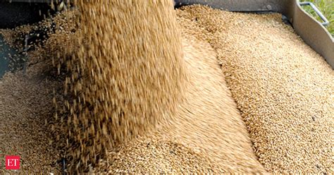 Wheat Government May Hike Import Duty On Wheat To 20 25 Per Cent The