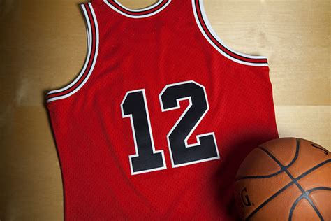 Chicago Bulls Michael Jordan 12 Jersey by Mitchell and Ness | SportFits.com