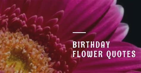 60 Happy Birthday Flower Quotes for Your Loved Ones