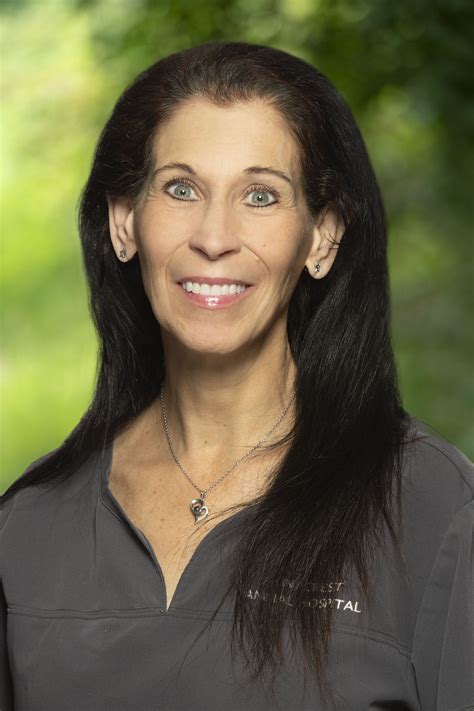 About Wilmington, DE Veterinarian - Windcrest Animal Hospital Group