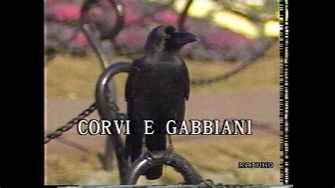 Il Mondo Di Quark Corvi E Gabbiani 04 03 1991 YouTube