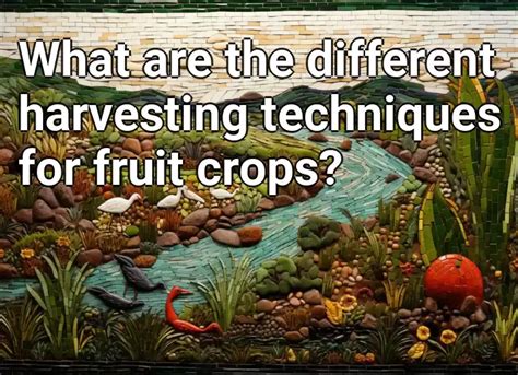 What are the different harvesting techniques for fruit crops ...