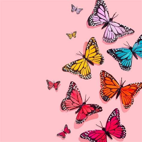 Share More Than Aesthetic Butterfly Wallpaper Super Hot In Cdgdbentre