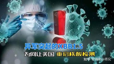 异军突起的xbb15，为何让美丽国重启核酸检测？活见久，戴好口罩 知乎