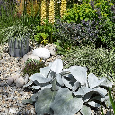 Drought-tolerant garden ideas to make the trend work for you | Ideal Home