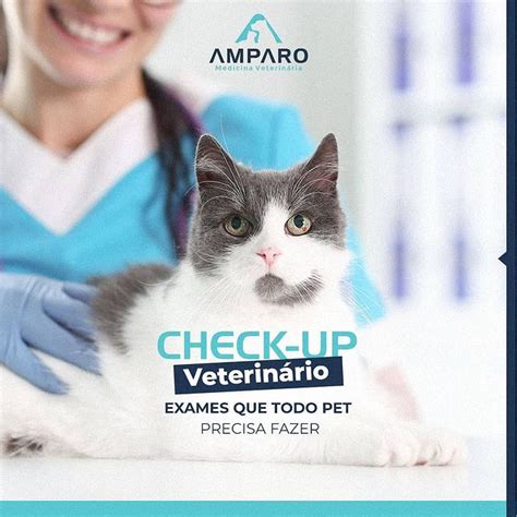 Check Up Veterinário