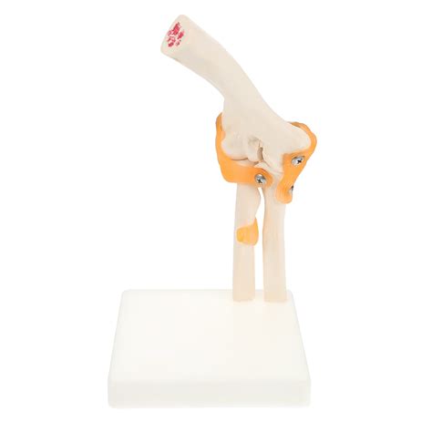 Elbow Model Models Elbow Joint Model Plastic Elbow Joint 3d Model