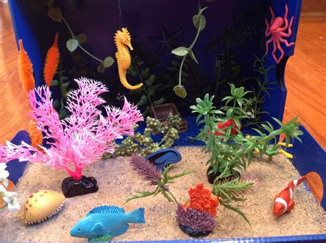 how to create a coral reef