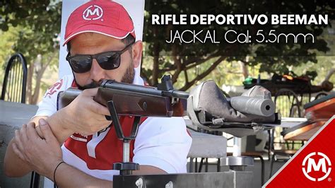 Te Sorprender Este Rifle De Beeman Jackal Deporte Rifles