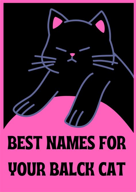 300+ Best And Unique Black Cat Names | Pick Up Your Favorite One | SLECK