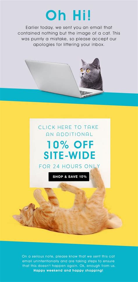 45 Engaging Email Newsletter Templates Design Tips And Examples For 2019