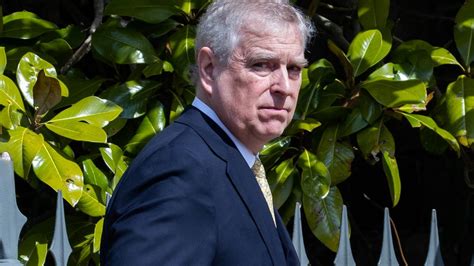 Prince Andrew’s BBC Newsnight interview: Fresh details emerge | news