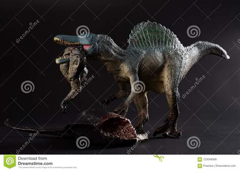 Spinosaurus Que Morde Um Corpo Do Dinossauro No Fundo Escuro Imagem De