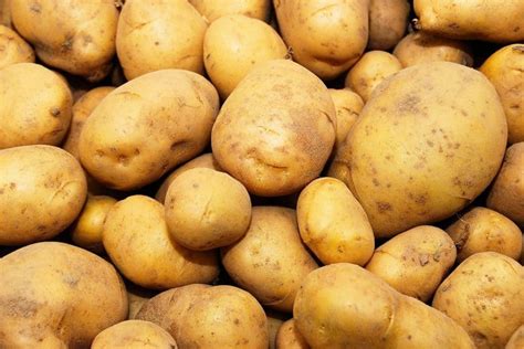 14 Best Potato Varieties To Grow In Your Garden