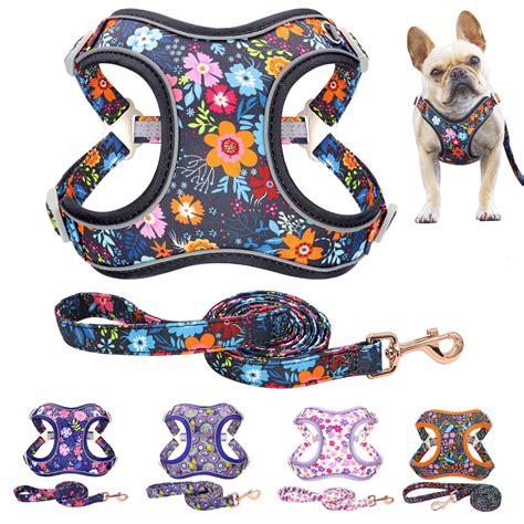 Conjunto De Arn S Y Correa Reflectantes Con Estampado Floral Para Perro