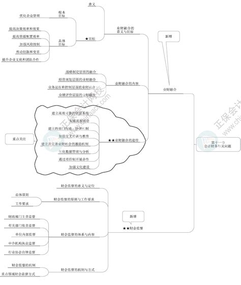 2024年高级会计师各章节思维导图 第十一章高级会计师 正保会计网校