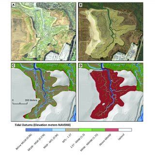 Map Of The Hester Marsh Restoration Site In Elkhorn Slough An