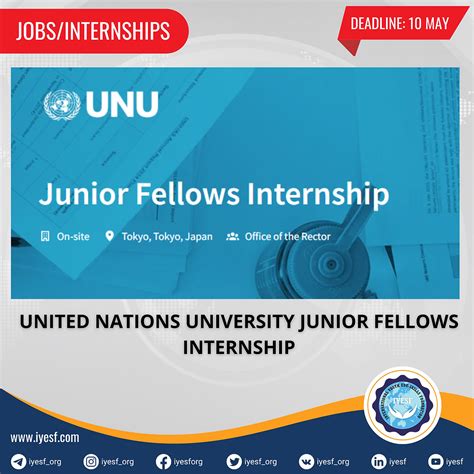 United Nations University Junior Fellows Internship 2024