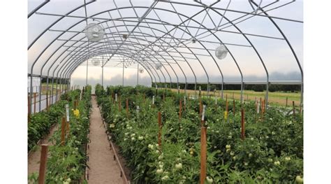 High Tunnel Production Field Day Is July Morning Ag Clips