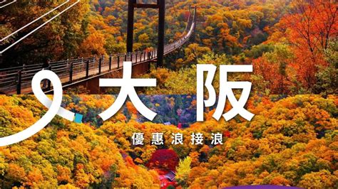 hk express   travel