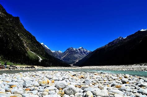 A Complete Tour Guide to Yumthang Valley Hill Station - Trans India Travels