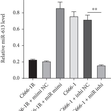 Overexpression Of Mir 613 Increased Npc Cell Radiosensitivity A