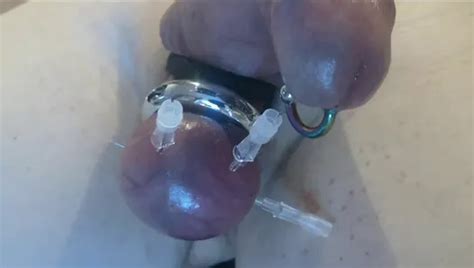 Free Gay CBT Porn Videos XHamster
