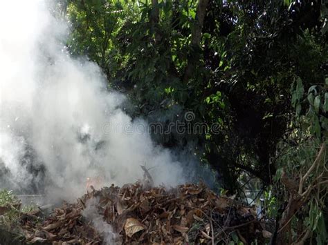 Burning Trash In The Tropics Stock Footage Video Of Controlled