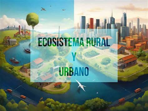 Diferencias Entre Ecosistemas Rurales Y Urbanos Ecologiayvida