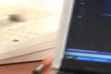 Haciendo Aseo English Gay Man Man Porn Xhamster