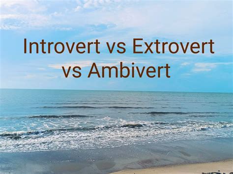 Mayonnaise Introvert Vs Extrovert Vs Ambivert แบบไหนที่เป็นคุณและแบบ