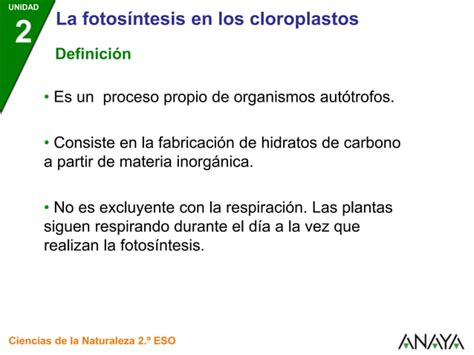 La fotosintesis en los cloroplastos (células vegetales).ppt