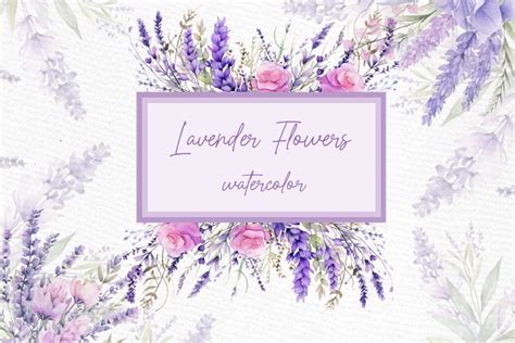 Watercolor Lavender Floral Clipart Lavender (3476191)