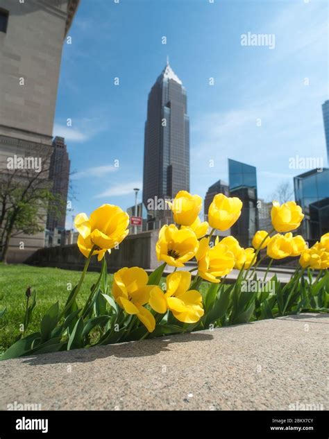 Cleveland Ohio Skyline Stock Photo - Alamy