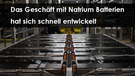 Natrium Batterien Ausführliche Erläuterung der Zukunftsaussichten