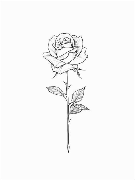 10 Rose Drawing Ideas Unleash Your Creativity Sky Rye