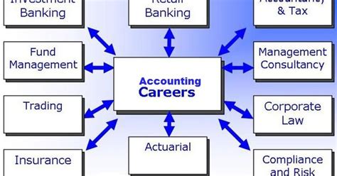 Accounting Career Path Chart