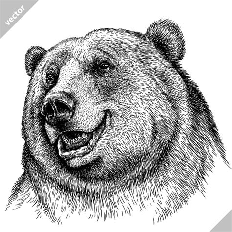 12,200 Bear Head Drawing Smiling Royalty-Free Images, Stock Photos ...