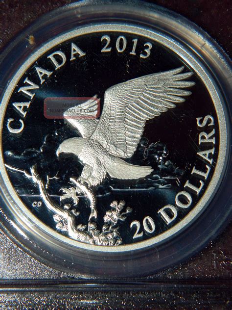 2013 Canada Bald Eagle Returning From The Hunt Proof Silver Coin Pcgs