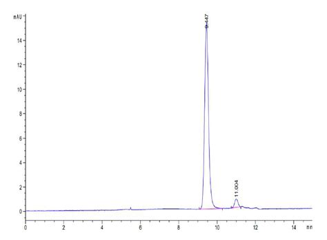 Biotinylated Human HLA A 11 01 B2M KRAS G12D VVGADGVGK Monomer Prote