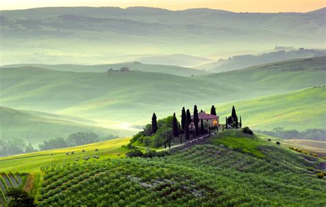 Wallpaper greens, trees, landscape, nature, fog, dawn, hills, field ...