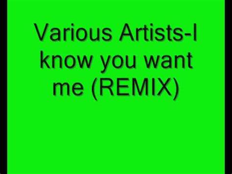 Various Artists I Know You Want Me Remix Youtube