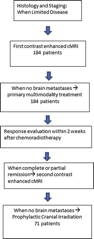 Treatment Response And Prophylactic Cranial Irradiation Are Prognostic