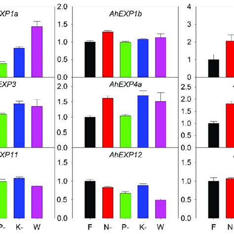 Relative Expression Quantities Of Agave Expansin Genes Under Nutrient