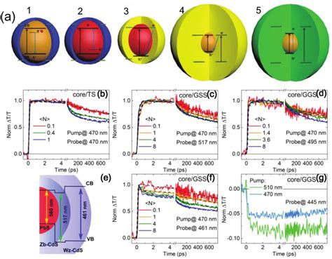 A Different Types Of Core Shell Structure QDs Reproduced With